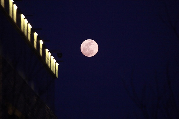 PA�콢����(�й�)�ٷ���վ